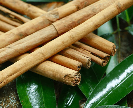 Корица шри ланка. Цейлонская корица дерево. Cinnamomum zeylanicum. Коричник цейлонский. Ceylon Cinnamon Powder.